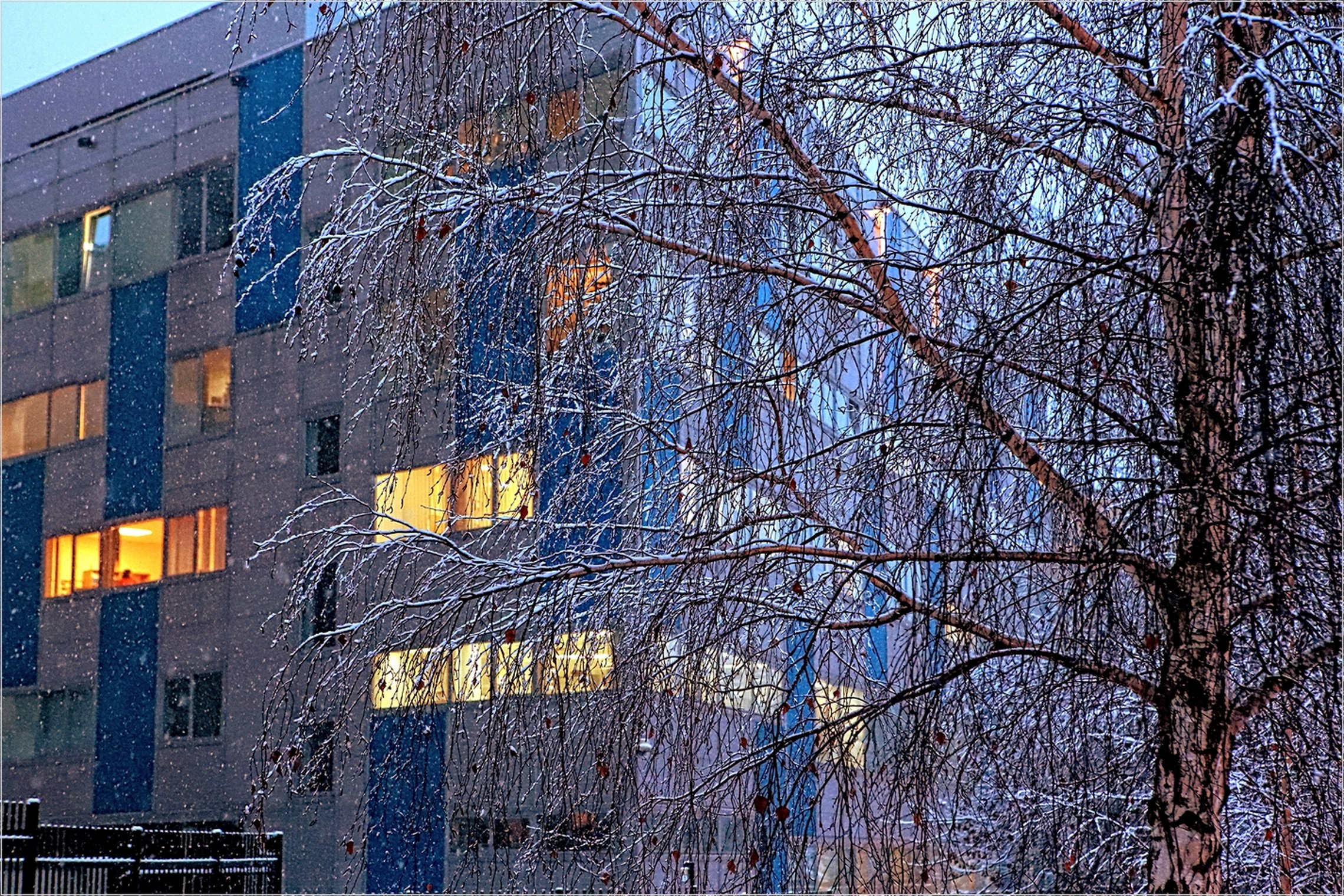 Iliustracija
