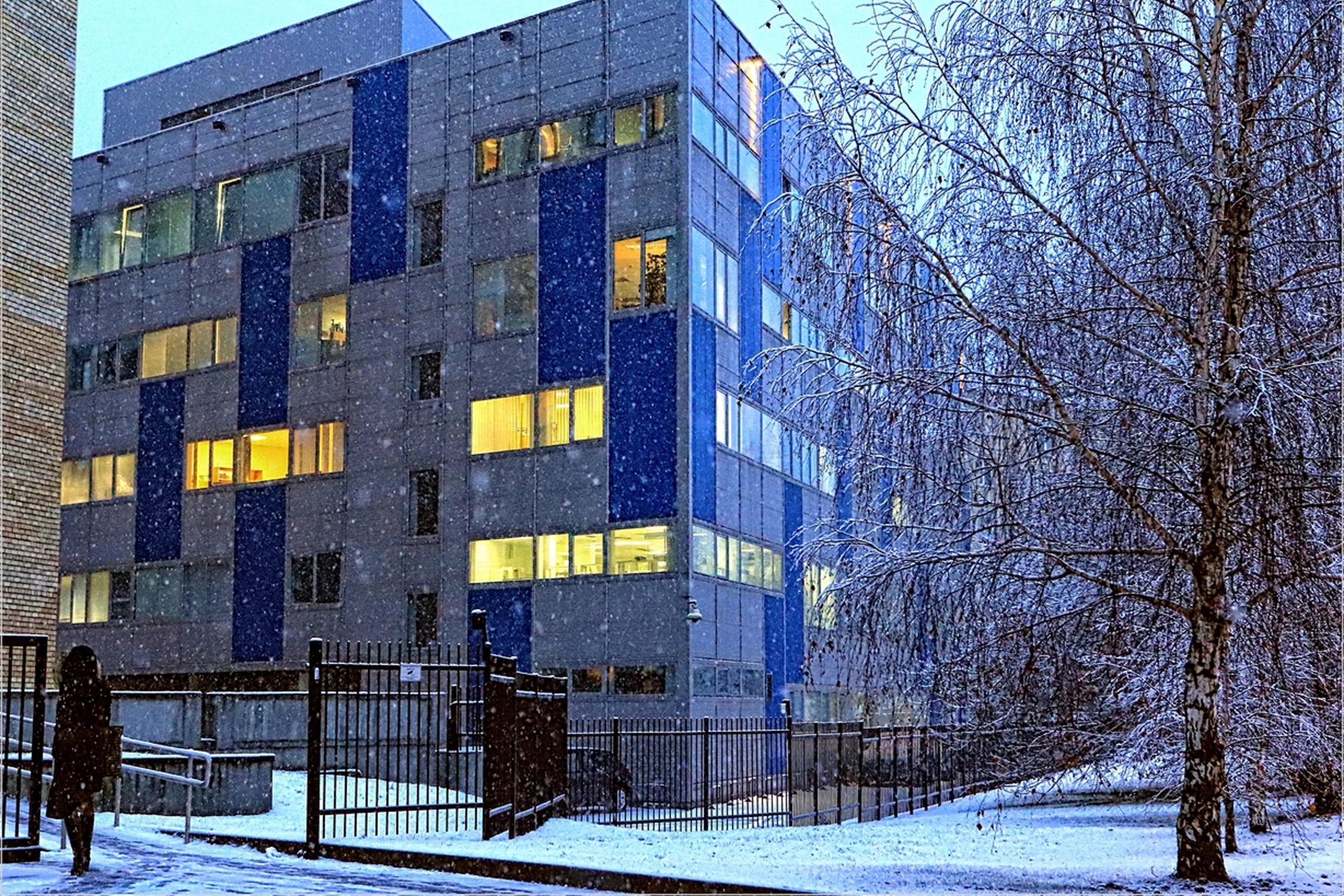 Iliustracija